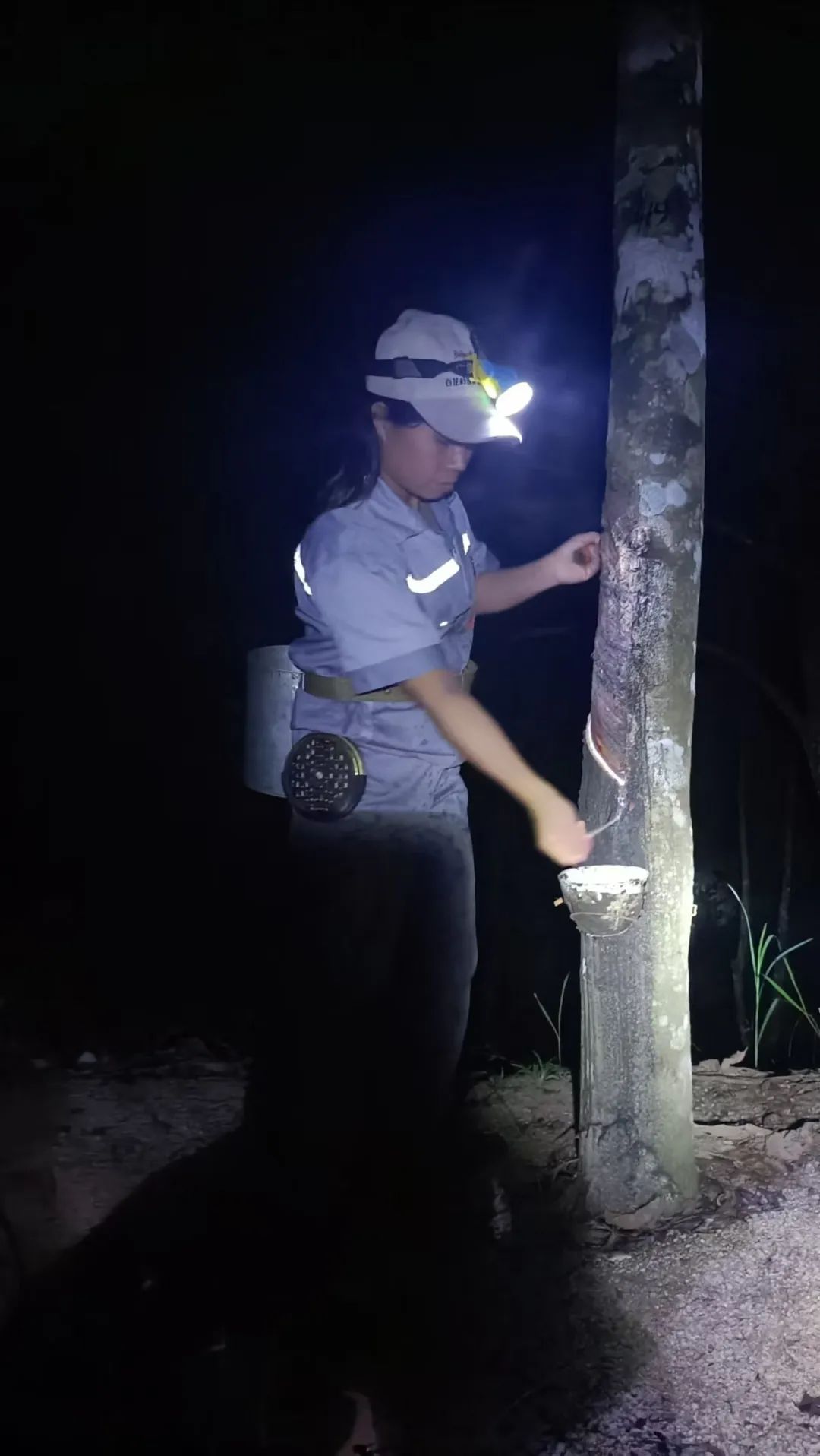 1747638756383058532.jpg 1747638756383058532.jpg