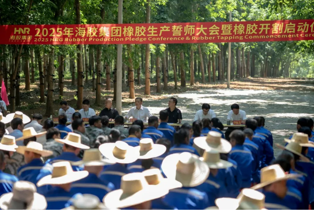 93b3efd5105c4ed0b33f6d37d06763da 93b3efd5105c4ed0b33f6d37d06763da