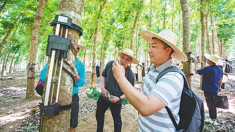 b6845192f9284d1c8bf78cbcbca5d1f2 b6845192f9284d1c8bf78cbcbca5d1f2