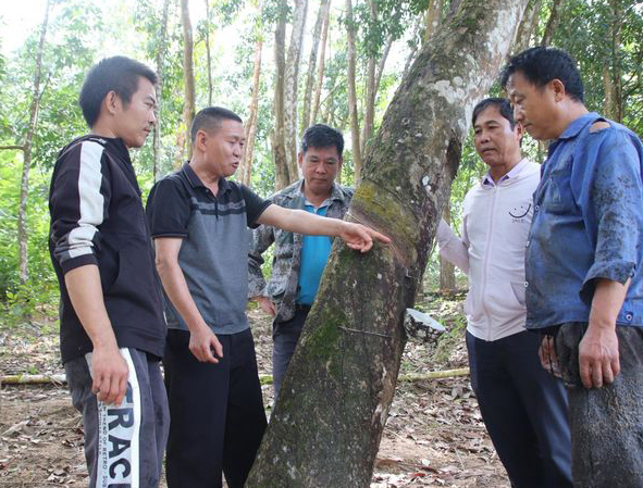 dd97ff27b8464fd9bea2af30f77f1f6a