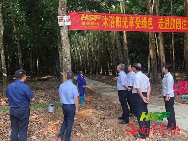 suncitygroup̫--ٷվ