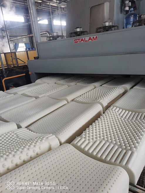 suncitygroup̫--ٷվ